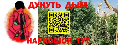 марки nbome Кингисепп
