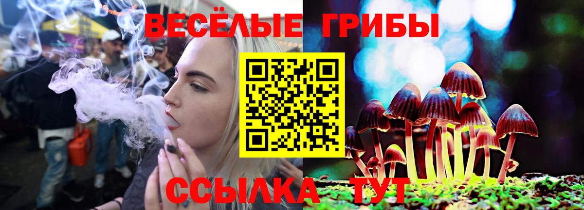 Кувандык  Галлюциногенные грибы Psilocybe  Вход с VPN  Галлюциногенные грибы GOLDEN TEACHER 